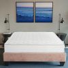 Premium 9 in. Medium Pocket Bed in a Box Spring Mattress - Twin XL, White